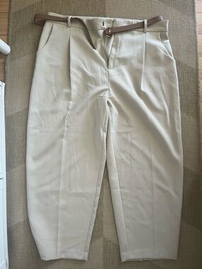 Zara Beige Pleated Dress Pants